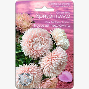 Астра Хризантелла Розовый перламутр/ Биотехника