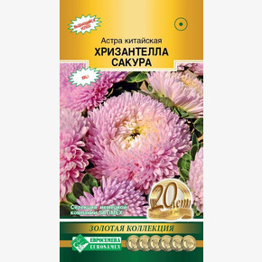 Астра Хризантелла Сакура китайская 5шт/ Евросемена