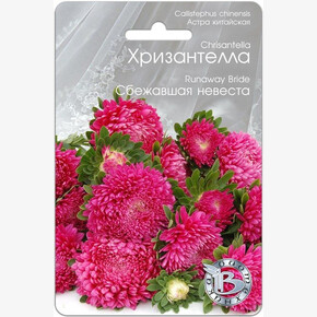 Астра Хризантелла Сбежавшая невеста /Биотехника/