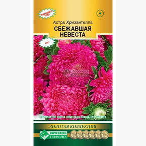 Астра ХРИЗАНТЕЛЛА СБЕЖАВШАЯ НЕВЕСТА 5 шт/ Евросемена