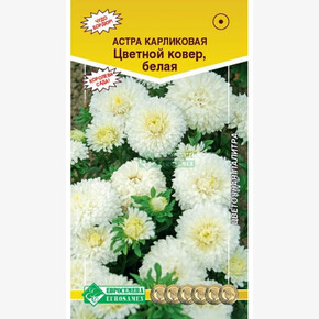 Астра ЦВЕТНОЙ КОВЕР белая 0,1 гр/ Евросемена ШК!!!