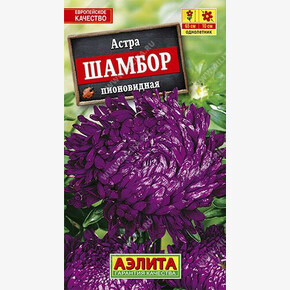 Астра Шамбор/ Аэлита