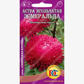 Астра Эсмеральда игольчатая /0,2 гр Деметра/