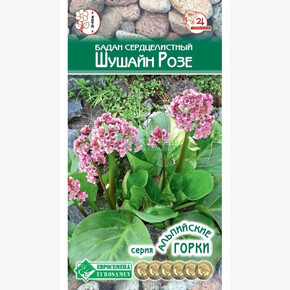 Бадан ШУШАЙН РОЗЕ 5 шт/ Евросемена