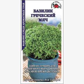 Базилик Греческий Мяч/ Сотка