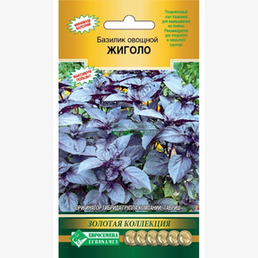 Базилик Жиголо/ Евросемена