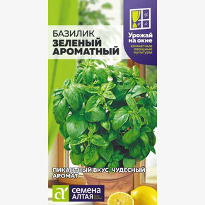 Базилик Зеленый Ароматный/Сем Алт/цп 0,3 гр. УРОЖАЙ НА ОКНЕ!