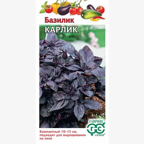Базилик Карлик фиолетовый /Гавриш/0,3 г