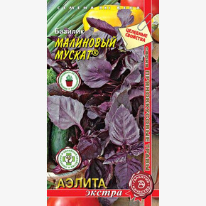 Базилик Малиновый мускат 0,1гр/ Аэлита