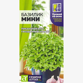 Базилик Мини/Сем Алт/цп 0,2 гр. УРОЖАЙ НА ОКНЕ!