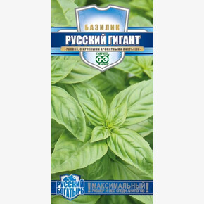 Базилик Русский гигант зеленый /Гавриш