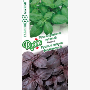 Базилик Русский гигант зеленый 0,1г+фиолетовый 0,1г серия Дуэт/ Гавриш