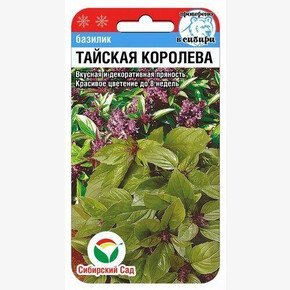 Базилик Тайская королева/ Сибсад