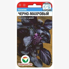 Базилик Черно-махровый/ Сибсад 0,5гр