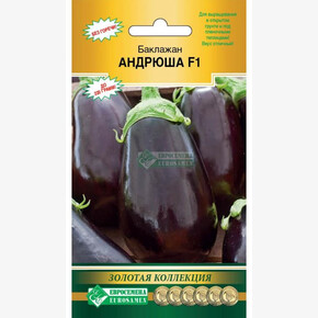 Баклажан Андрюша/ Евросемена
