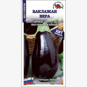 Баклажан Вера/ Сотка