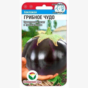 Баклажан Грибное чудо 20шт Сиб Сад