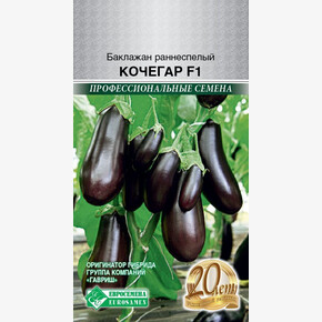 Баклажан Кочегар раннеспелый 3шт/ Евросемена