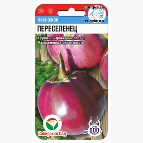 Баклажан Переселенец / Сибсад