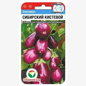 Баклажан Сибирский кистевой 20шт Сиб Сад