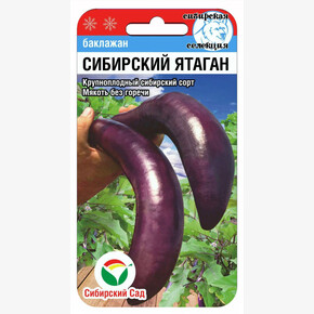 Баклажан Сибирский Ятаган/ Сибсад