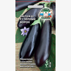 баклажан Черный ворон СЕДЕК