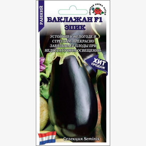 Баклажан Эпик/ Сотка