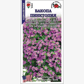 Бакопа Пинктопия /Сотка/ 3шт