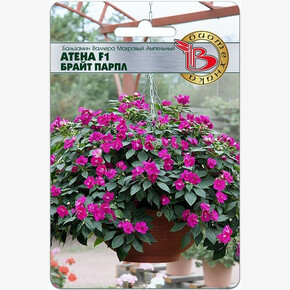 Бальзамин Атена Брайт Парпл 8шт/ Биотехника