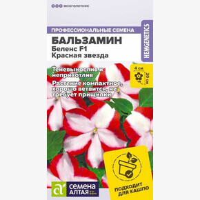 Бальзамин Беленс F1 Красная звезда/Сем Алт/цп 4 шт.