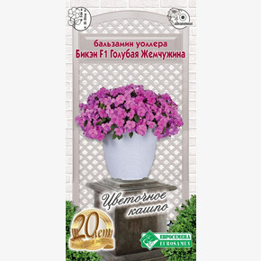 Бальзамин Бикэн Голубая Жемчужина 5шт/ Евросемена