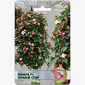 Бальзамин Валлера Имара Оранж Стар/ Биотехника