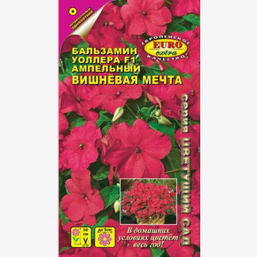 Бальзамин Вишневая мечта, амп. 5шт/ Аэлита Экстра