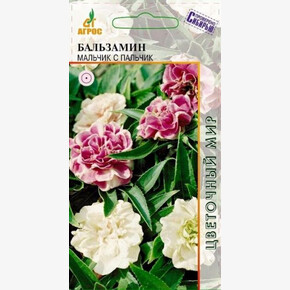 Бальзамин Мальчик с Пальчик/ Агрос