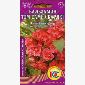 Бальзамин Том Самб Скарлет /0,1 гр Дем Сиб/