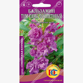 Бальзамин Том Самб фиолетовый / 0,1 гр Дем Сиб/