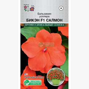 Бальзамин Уоллера Бикэн Салмон/ Евросемена