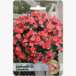 Бальзамин Хайлайт Сальмон/ Биотехника