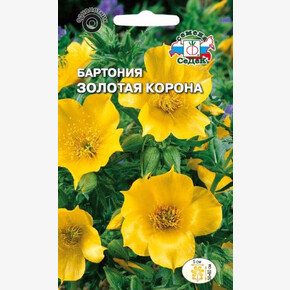 Бартония Золотая корона/ Седек