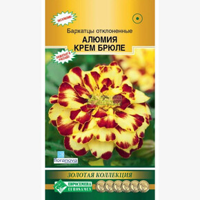 Бархатцы АЛЮМИЯ Крем Брюле (10 шт)/ Евросемена