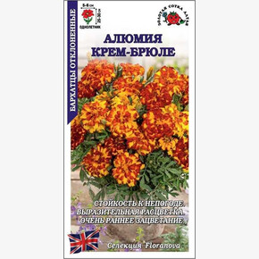 Бархатцы Алюмия Крем-Брюле F1 /Сотка/ 10шт/ h-25-30см d-6см/*1800