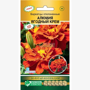 Бархатцы АЛЮМИЯ Ягодный Крем отклоненные 10 шт/ Евросемена