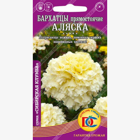 Бархатцы Аляска прямост. махр. /0,2 гр Дем Сиб/