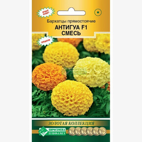 Бархатцы АНТИГУА , cмесь прямостоячие 10 шт/ Евросемена