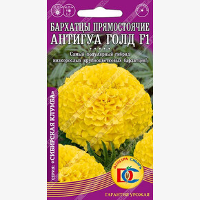 Бархатцы Антигуа Голд F1 прямост. махр. /5шт Дем Сиб/