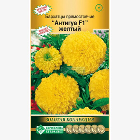 Бархатцы Антигуа желтый/ Евросемена