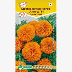 Бархатцы АНТИГУА оранжевый 10 шт/ Евросемена