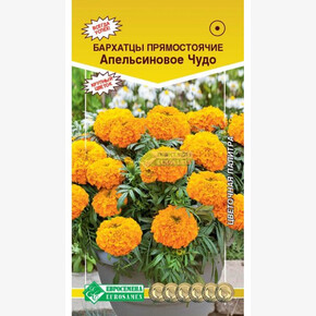 Бархатцы АПЕЛЬСИНОВОЕ ЧУДО 0,1 гр/ Евросемена