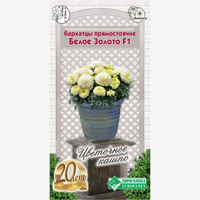 Бархатцы Белое Золото 5шт/ Евросемена