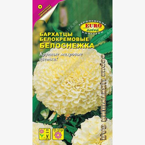 Бархатцы Белоснежка/ Аэлита